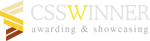 CSS Winner